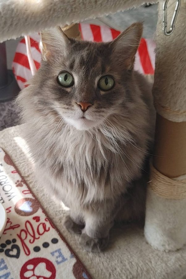 Kit — author, philosopher, box enthusiast
